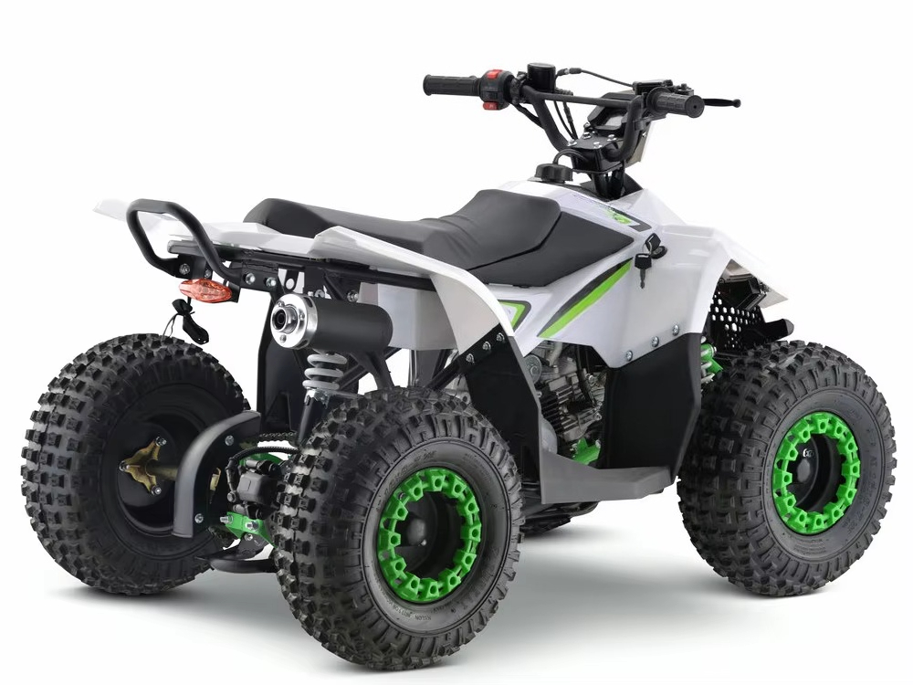 110cc Gas Powered Kids ATV 4 W - Kids Toys Quad recension och pris